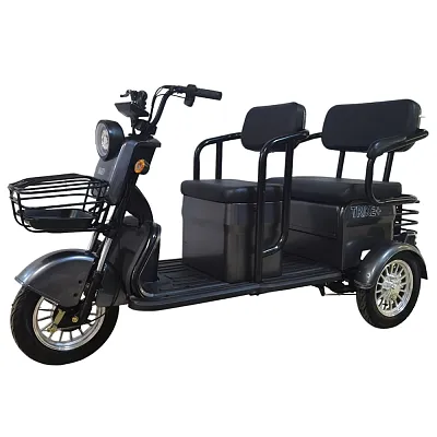 Трёхколесный электроскутер SMD trike+